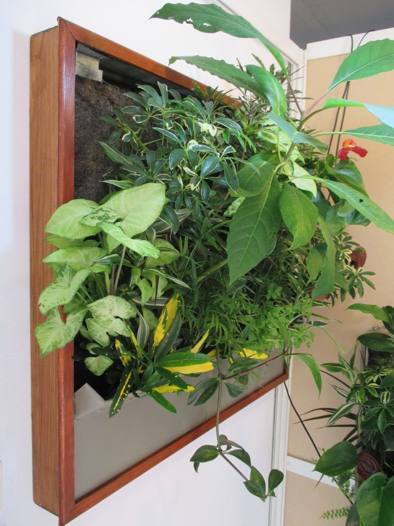 Cadre végétal réalisé par Verdatis