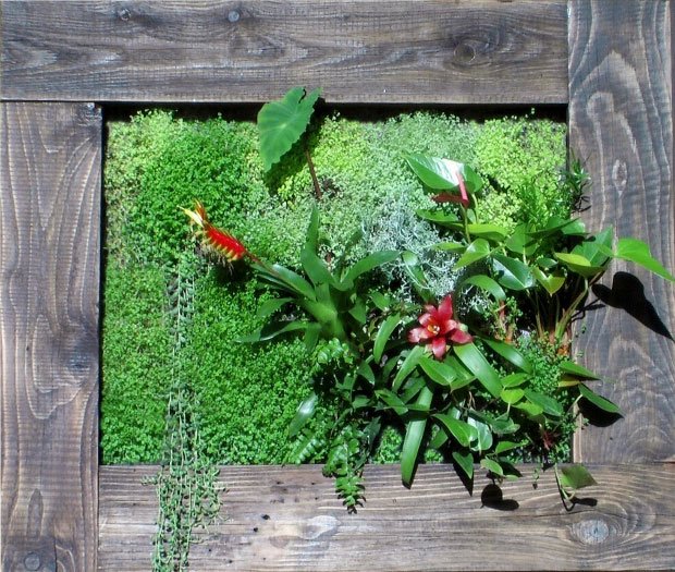 cadre végétal mural intérieur terminé avec plantes sur nappe horticole et irrigation intégrée