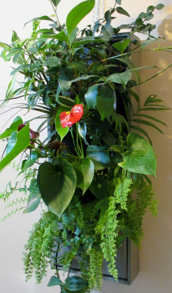 Le mur végétal intérieur peut couvrir une surface importante, du sol au plafond