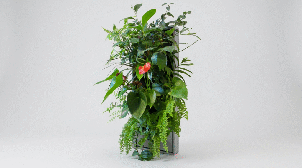 pothos philodendron fougère plantes adaptées à un cadre végétal mural intérieur